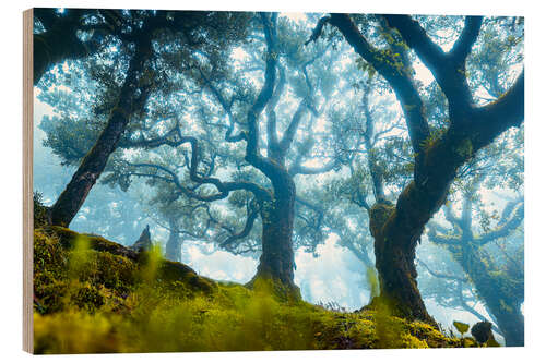 Holzbild Baum mit Nebel in Fanal, Madeira