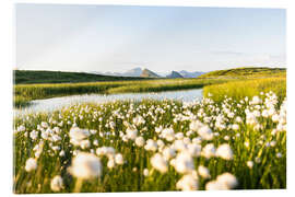 Cuadro de metacrilato Summer in the Alps - Lucas Tiefenthaler