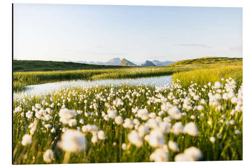 Alubild Sommer in den Alpen