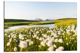 Alubild Sommer in den Alpen - Lucas Tiefenthaler