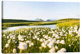 Canvas-taulu Summer in the Alps - Lucas Tiefenthaler