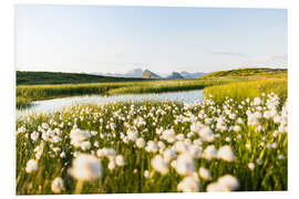 Hartschaumbild Sommer in den Alpen
