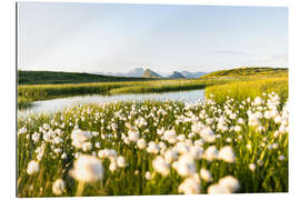 Gallery Print Sommer in den Alpen