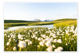 Wall print Summer in the Alps - Lucas Tiefenthaler