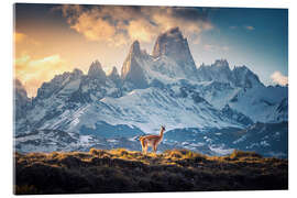 Acrylic print Patagonia with Fitz Roy - Lucas Tiefenthaler
