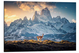 Alubild Patagonien mit Fitz Roy - Lucas Tiefenthaler