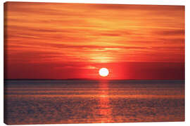Canvas print Sunset on Lake Constance - Lucas Tiefenthaler