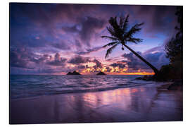 Alubild Sonnenaufgang mit Palme in Hawaii - Lucas Tiefenthaler