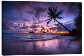 Tableau sur toile Sunrise with palm tree in Hawaii - Lucas Tiefenthaler