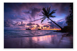 Wall print Sunrise with palm tree in Hawaii - Lucas Tiefenthaler