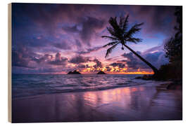 Cuadro de madera Sunrise with palm tree in Hawaii - Lucas Tiefenthaler