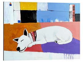 Aluminium print Siesta and Sleeping Dog