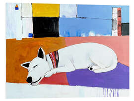 PVC-tavla Siesta and Sleeping Dog