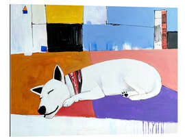 Gallery print Siesta and Sleeping Dog