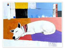 Poster Siesta and Sleeping Dog