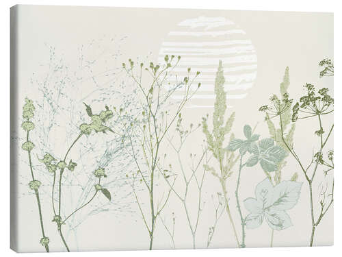 Obraz na płótnie Grasses and wild herbs in soft green tones