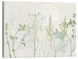 Stampa su tela Grasses and wild herbs in soft green tones - Annick