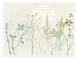 Stampa Grasses and wild herbs in soft green tones - Annick