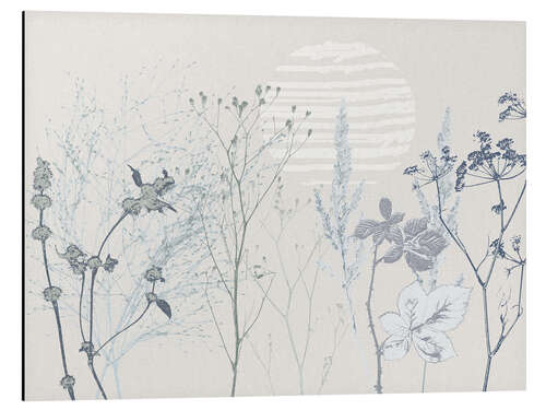 Aluminium print Meadow with grasses and wild herbs in soft shades of blue