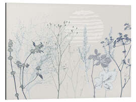 Aluminium print Meadow with grasses and wild herbs in soft shades of blue - Annick