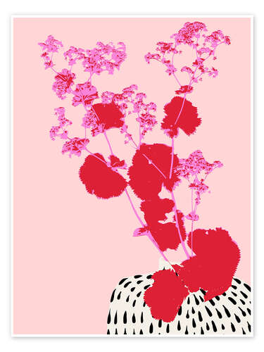 Poster Pink branch of a lady's mantle plant