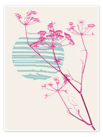 Stampa Pink fennel branch in front of a minimalist sunset - Annick