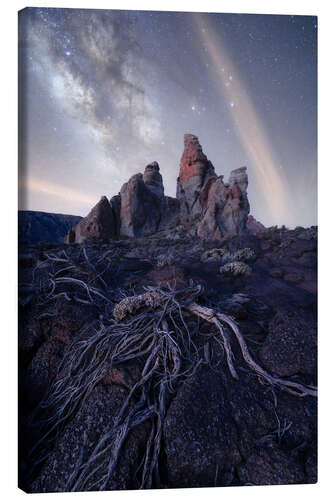 Canvas print Milky Way over Roques de Garcia, Tenerife