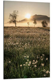 Magnettafel Wiesen im Nebel, Allgäu