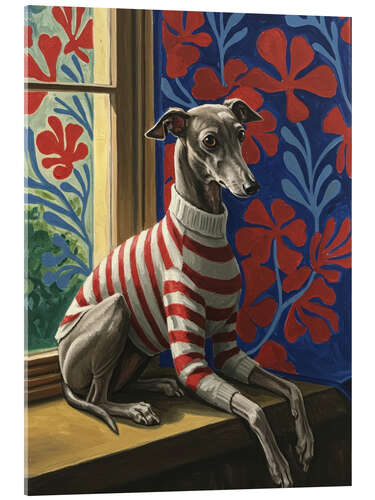 Cuadro de metacrilato Cute greyhound with sweater
