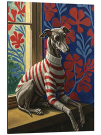 Aluminium print Cute greyhound with sweater