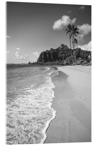 Acrylic print Exotic beach and sea, Hawaii
