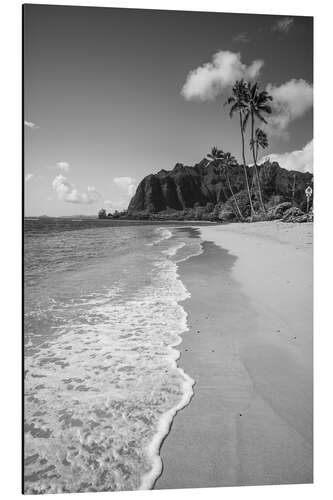 Alubild Exotischer Strand und Meer, Hawaii