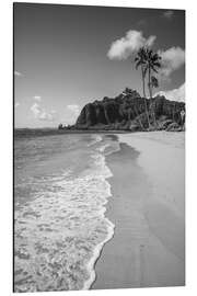 Alubild Exotischer Strand und Meer, Hawaii - Matteo Colombo