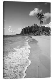 Lienzo Exotic beach and sea, Hawaii - Matteo Colombo