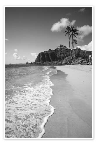 Poster Exotic beach and sea, Hawaii