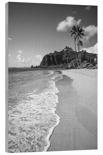 Holzbild Exotischer Strand und Meer, Hawaii