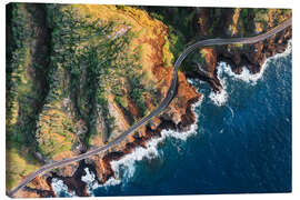 Lienzo Drone view of Oahu island, Hawaii - Matteo Colombo