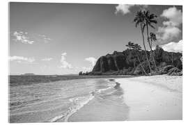 Acrylglasbild Tropischer Strand und Meer, Hawaii - Matteo Colombo