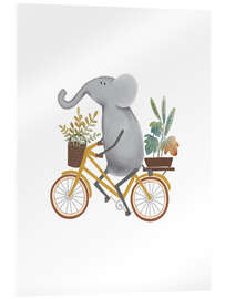Obraz na szkle akrylowym Cycling Elephant - Urchin Bay
