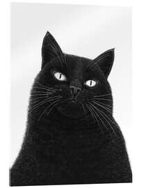 Akrylglastavla A serious black cat