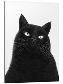 Aluminium print A serious black cat
