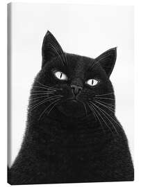 Lienzo A serious black cat
