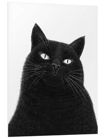 PVC-tavla A serious black cat
