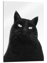 Cuadro de plexi-alu A serious black cat