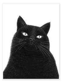 Billede A serious black cat - Valeriya Korenkova