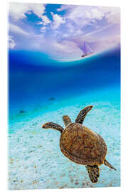 Acrylglas print Sea turtle in ocean paradise watching a sailboat - Gen Z