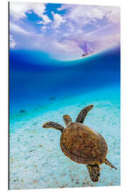 Alumiinitaulu Sea turtle in ocean paradise watching a sailboat - Gen Z