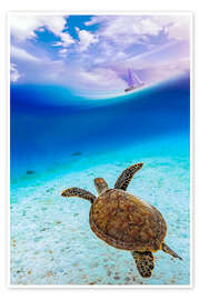 Wall print Sea turtle in ocean paradise watching a sailboat - Gen Z