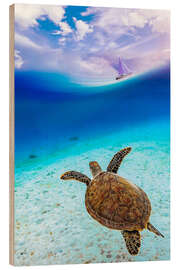 Stampa su legno Sea turtle in ocean paradise watching a sailboat - Gen Z