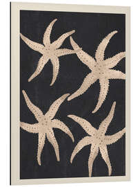 Aluminium print Starfish Harmony - Branka Kodžoman
